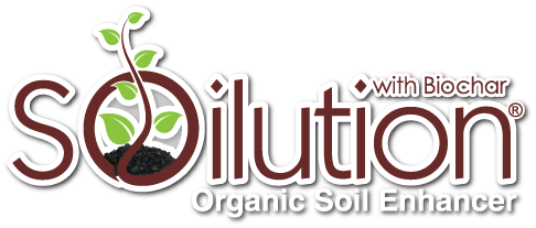 Supercharge Your Soil